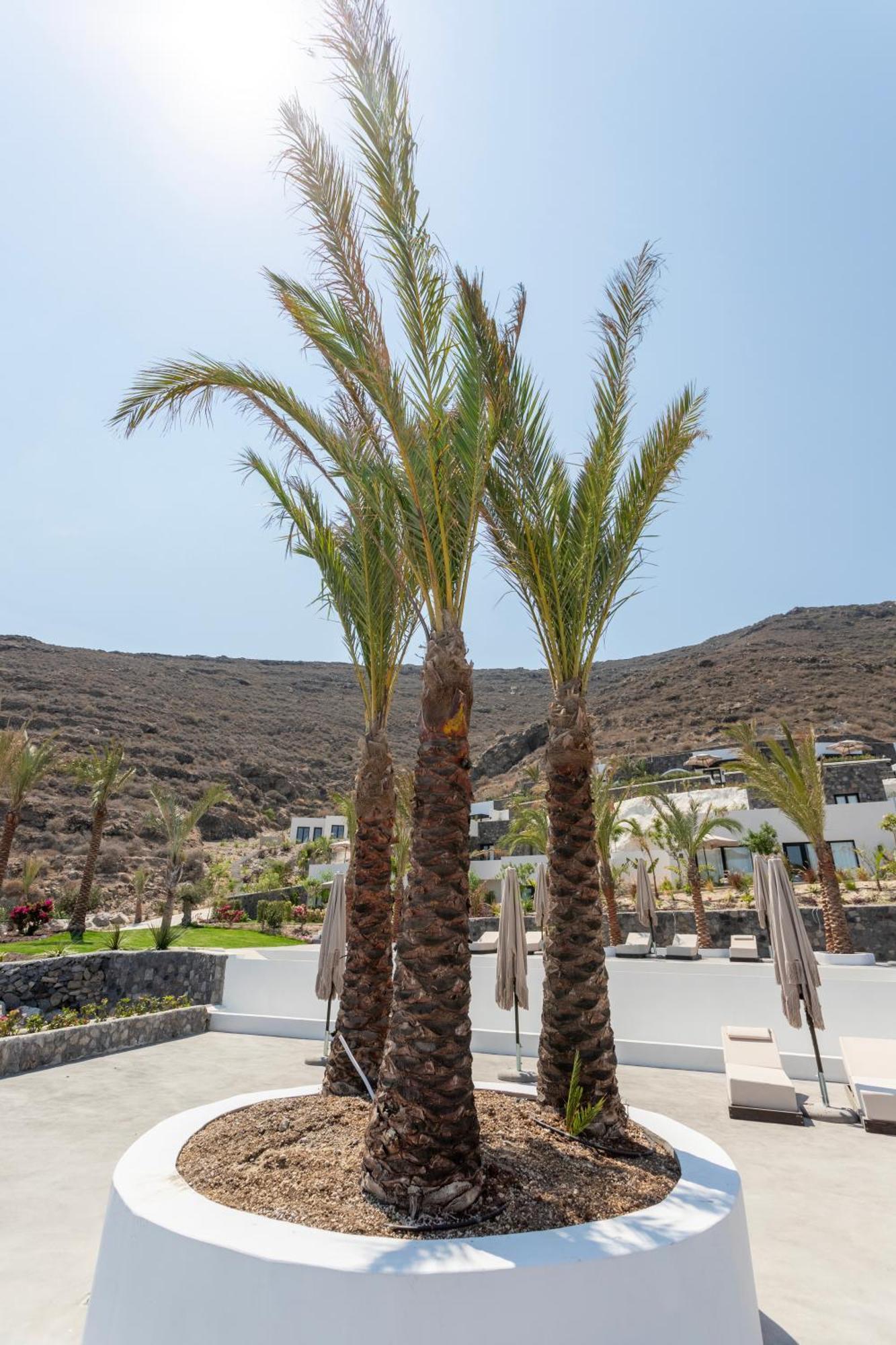 Palm Island Suites Ημεροβίγλι Εξωτερικό φωτογραφία